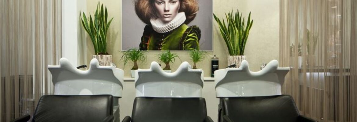 High-End Salon in Affluent Area