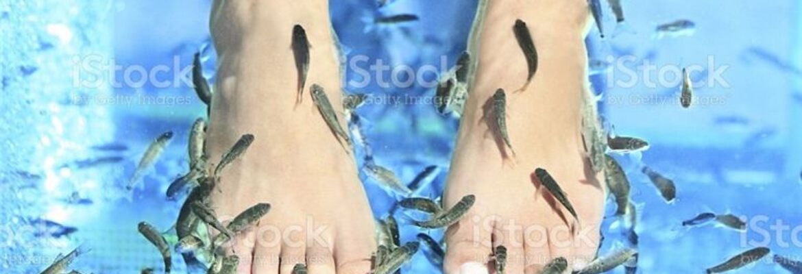 Profitable Fish Pedicure and Nail Salon