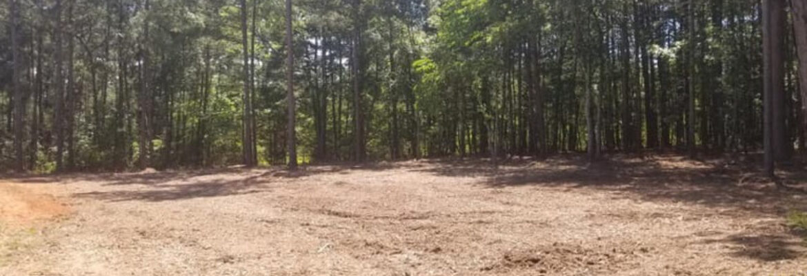 Profitable Land Clearing Business for Sale in Spartanburg SC