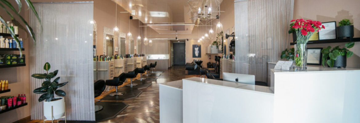 Established Hair Salon in Northern California.